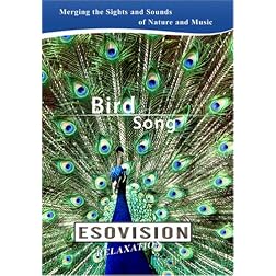 ESOVISION Relaxation  BIRD SONG