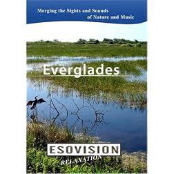 ESOVISION Relaxation  EVERGLADES