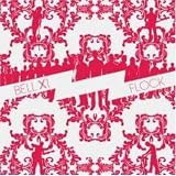 Flock by Bell X1