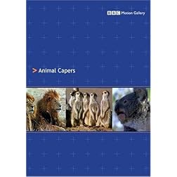 Animal Capers