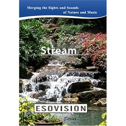 ESOVISION Relaxation  STREAM