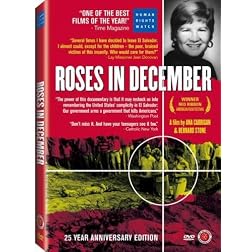 Roses in December