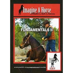 Trick Horse Training Fundamentals II