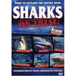 Sharks: On Trial