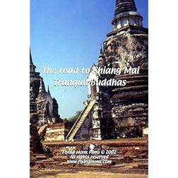 The road to Chiang Mai - Tranquil Budddhas