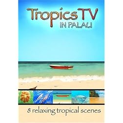 TropicsTV - PALAU: Relaxing Waves, Beaches & Sealife