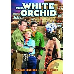 White Orchid