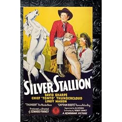 Silver Stallion