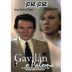 Gavilan O Paloma