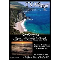 TV ArtScapes.............          SeaScapes  Volume 1