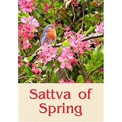 Sattva of Spring