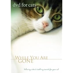 DVD For Cats:  While You Are Gone