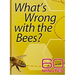 60 Minutes - What's Wrong with the Bees? (October 28, 2007)