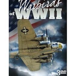 Warbirds Of WWII