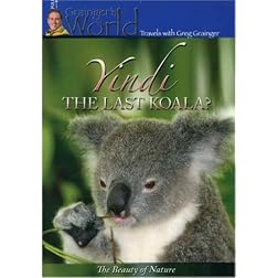 Yindi the Last Koala