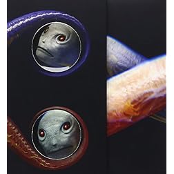 Tool: Vicarious