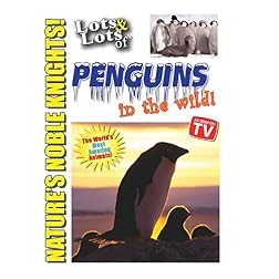 Lots and Lots of Penguins In The Wild DVD