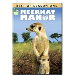Season-Best of Meerkat Manor