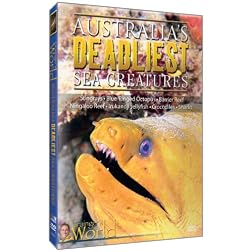 Australia's Deadliest Sea Creatures