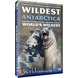 Wildest Antarctica