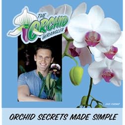 Orchid Secrets Made Simple