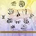 Vente de Livres.com : Steven Bernstein: Diaspora Suite