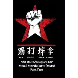 San Da for Mixed Martial Arts Part Two