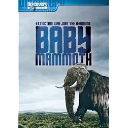 Baby Mammoth