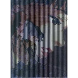 Perfect Blue