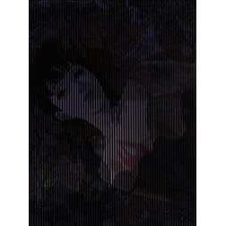 Perfect Blue Blu-Ray