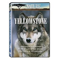 Nature: Yellowstone