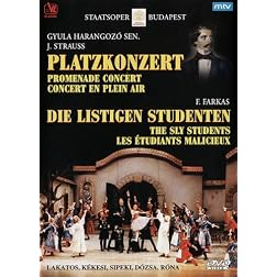 Platzkonzert