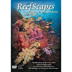 Reefscapes: Nature's Aquarium