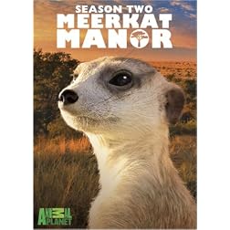 Meerkat Manor, Season 2