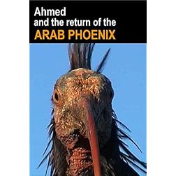 Ahmed and the Return of the Arab Phoenix
