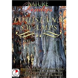 Nature Wonders  LOUISIANA SWAMPS U.S.A.