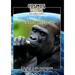 Cosmos Global Documentaries  GORILLA