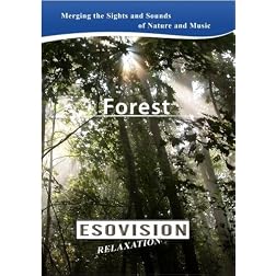 ESOVISION Relaxation  FOREST
