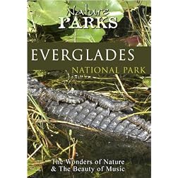 Nature Parks  EVERGLADES Florida