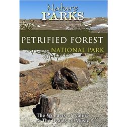 Nature Parks  PETRIFIED FOREST Arizona
