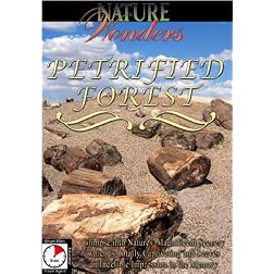 Nature Wonders  PETRIFIED FOREST U.S.A.