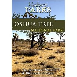 Nature Parks  JOSHUA TREE California