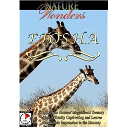 Nature Wonders  ETOSHA Namibia