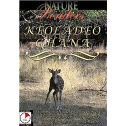 Nature Wonders  KEOLADEO GHANA India