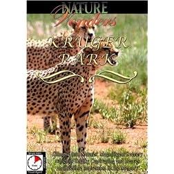 Nature Wonders  KRUGER PARK South Africa