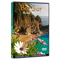 Big Sur: Surreel Moments