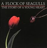 The Story of a Young Heart by A Flock Of Seagulls