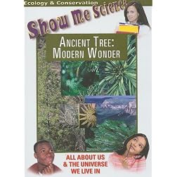 Ancient Tree: Modern Wonder