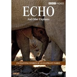 Echo and Other Elephants