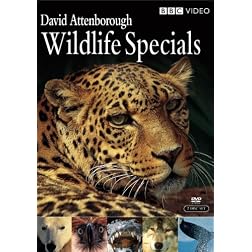 Wildlife Specials